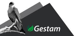Gestam